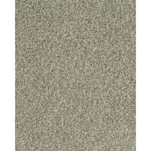 Cherished Tradition Raven Kashmere Carpet