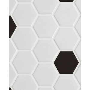 Circuit White w/black 2x2 Hexagon Matte Tile
