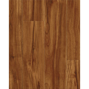 Cali Windansea High Tide Classic Acacia Vinyl
