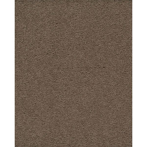 Classical Approach SmartStrand 70oz Carpet