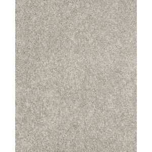 Claws and Effect I 43oz Pet Friendly Carpet