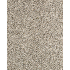 Claws and Effect II 58oz Pet Friendly Carpet
