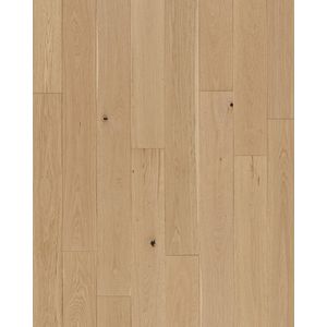 Collington Champagne Oak 7.5