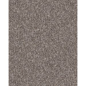 Confidence II Alaskan Air Textured Carpet