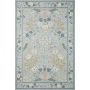 Cotswolds COT-03 Sky Area Rug