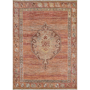Desi Udaipur Rust Area Rug