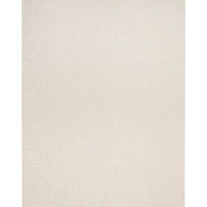 Desire DSR09 Beige Area Rug