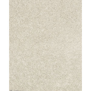Diffurent Choice II 45oz Pet Friendly Carpet