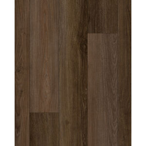 Discovery Ridge SolidTech Essentials Cup O Java Vinyl