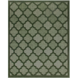 Easy Care NES01 Green Area Rug