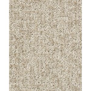 Emergence Patterned Pet Friendly 39oz Carpet