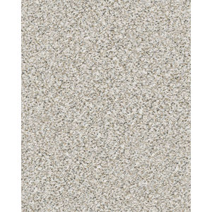 Estes Park Textured Nylon 38oz Carpet