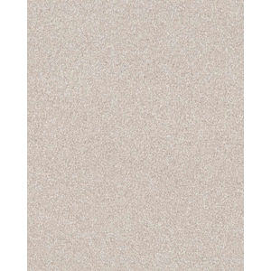 Expertise Textured 48oz Pet Friendly Carpet