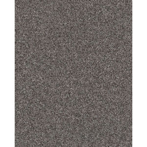 Expertise Sentimental 48.7oz Textured Carpet