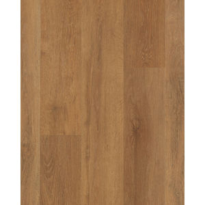 Explorers Cove SolidTech Select Stormy Sands Luxury Vinyl