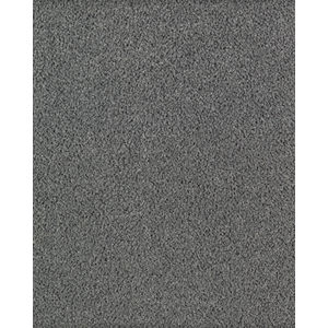 Fashion Culture Textured SmartStrand Carpet