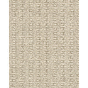Fetch Pet Friendly Nylon 31oz Pattern Carpet