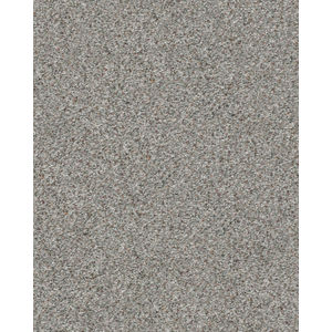 Find Your Comfort Accent II Nylon Carpet
