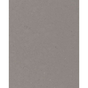 Fossil Gray Quartz Countertop