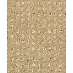 Fuji Nylon Patterned 34oz Carpet