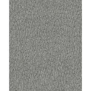 Fur-Ever Pet Friendly Nylon Carpet