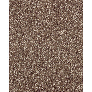 Subtle Tones Textured SmartStrand 57oz Carpet