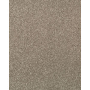 Stylish Grace Textured 55oz SmartStrand Carpet