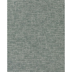 Modern Texture SmartStrand 46oz Carpet