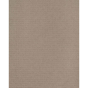 Enduring Statement SmartStrand 36oz Carpet