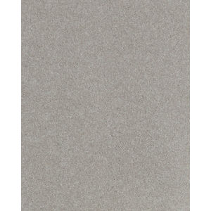 Impressive Shades Textured 50oz Carpet