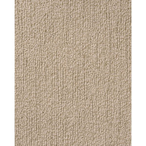 True North Patterned Nylon Blend Carpet