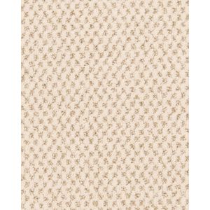 Timeless Effects Patterned 45oz SmartStrand Carpet