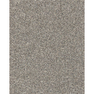 Novel Flair Textured 52oz Carpet