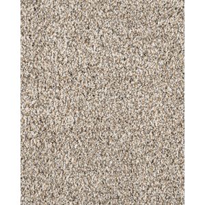 Leon Textured 40oz SmartStrand Carpet
