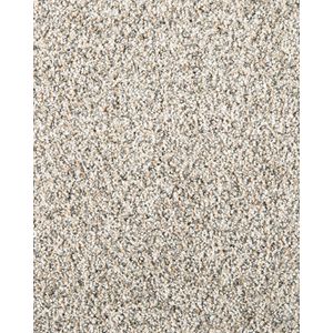 Ravello Textured 55oz SmartStrand Carpet