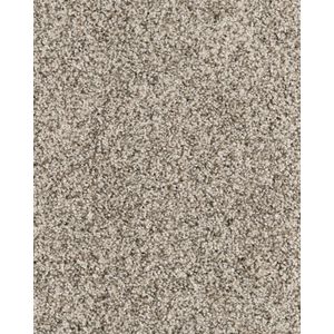 Cosmic Textured 70oz Everlux Nylon Carpet