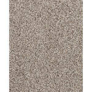 Apollo Bay Textured 45oz SmartStrand Carpet