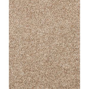 Nelson Bay Textured 55oz SmartStrand Carpet
