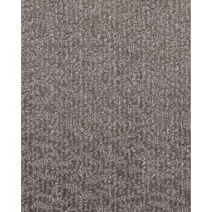 Sublime Style Patterned 46oz SmartStrand Carpet