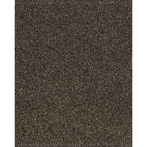 Gentle Quality Kashmere Nylon Carpet