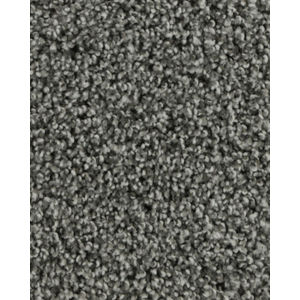Graceful Intrigue Textured 50oz Carpet