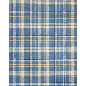 Grafix GRF03 Blue Area Rug