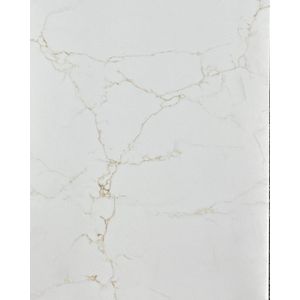 Mammoth Gold Granite Countertop