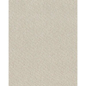 In Style Patterned 34oz Carpet