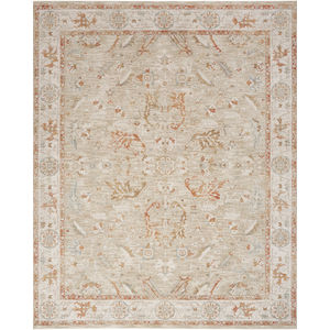 Infinite IFT01 Sage Ivory Area Rug