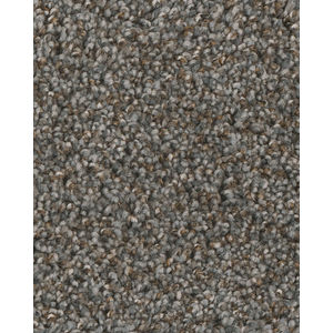Jackson Hole I Textured 42oz Carpet