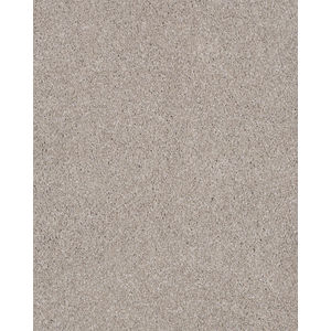 Lavish Attraction Textured Carpet