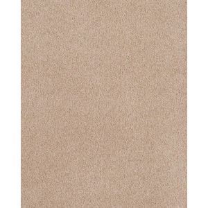 Island Mood Textured Nylon Carpet