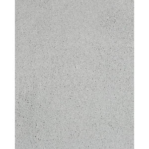 Impressive Character SmartStrand Triexta Carpet