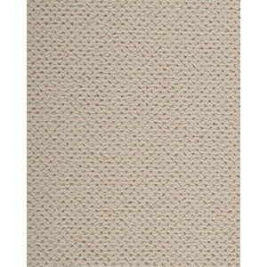 Kenetic Detail SmartStrand 55oz Carpet